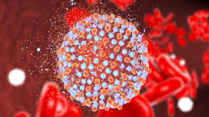 28 Temmuz Dünya Hepatit Günü Bilgilenin ve Korunun!