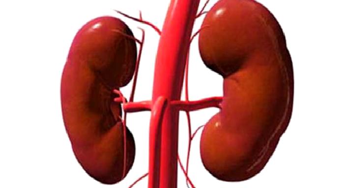 8 Adımda Böbrek Hastalıklarından Korunun