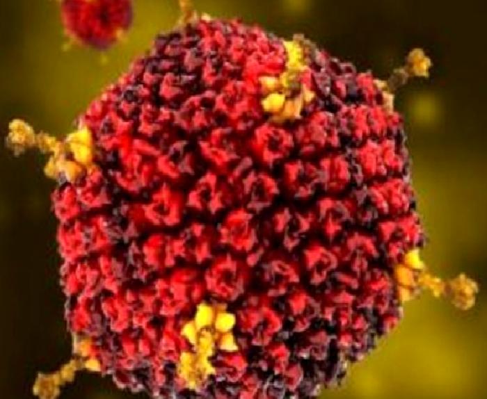 ADENOVİRÜS ENFEKSİYONLARI