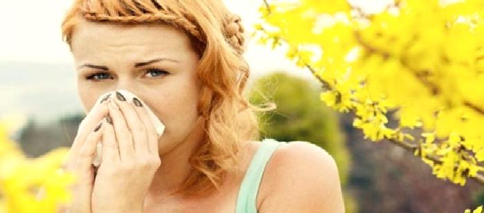 Alerji Uzmanı Nedir?