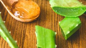 Aloevera ve Bilinmeyen Yönleri