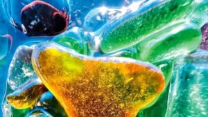 Apple’ın makro fotoğraf yarışması sonuçlandı: İşte iPhone 13 Pro ile çekilen enfes fotoğraflar