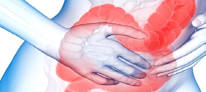 Bağırsak Neden Önemlidir?