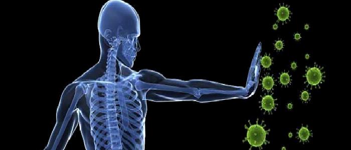 BAĞIŞIKLIK SİSTEMİNİ HARETEKE GEÇİRİN