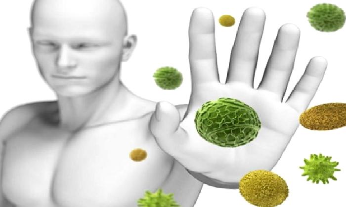 BAĞIŞIKLIK SİSTEMİNİZİ GÜÇLENDİREN BESİNLER