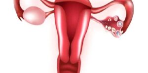 Bebeklik Döneminin Bugünümüze Mirası: Bağlanma