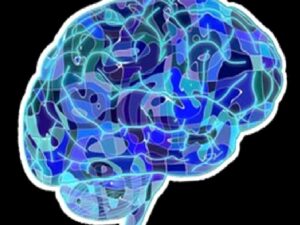 Beyin, İçinde Bulunulan Duruma Göre Nasıl Karar Veriliyor?