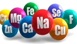 BİYOLEMENTLER (ESER ELEMENTLER- MİNERALLER)