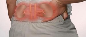 Böbrek Naklinde Sık Sorulan Sorular?