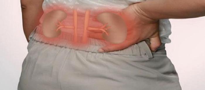 Böbrek Tümörü Tedavisi Nasıl Olmalı?