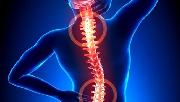 Boynun Genel Koruma Prensipleri