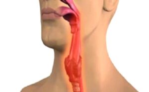 Burun Gerisine Akıntı