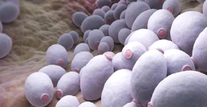 Candidanız Olabilir Mi?