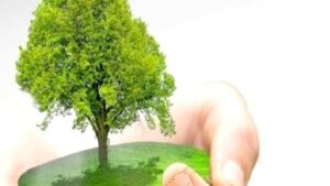 Çevre Dostu Ürün Tercihleri