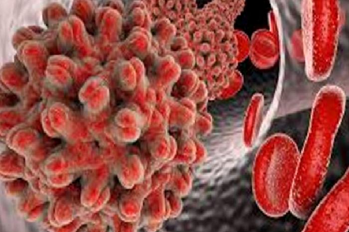 Cinsel Fonksiyon Bozukluğu Tedavisi