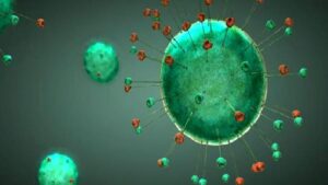 Coronavirüs ve Psikoloji