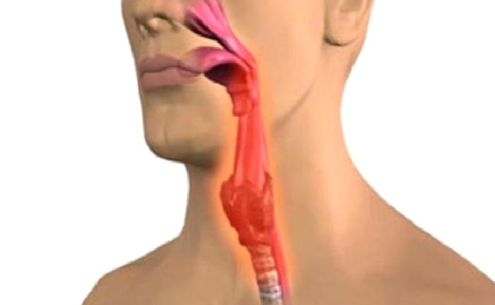 Dil, Ağız Boşluğu ve Yutak Kanseri Tedavisi Sonrası Süreç