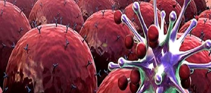 Dünyada Ölüm Nedenleri Arasında İkinci Sırada Yer Alan Hastalık; Kanser