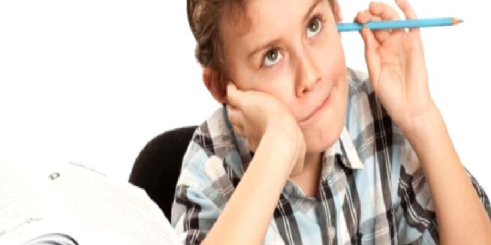 Dürtüsellik Nedir?