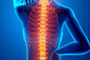 Duruş ve Pelvik Taban Sağlığı