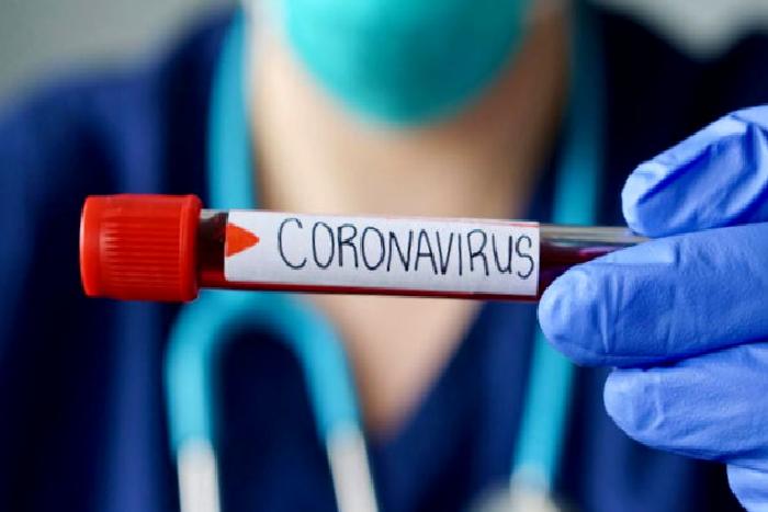 Düzen Bozan Coronavirüs