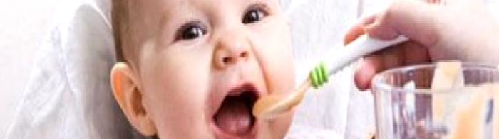 EK GIDALARA NE ZAMAN, NASIL BAŞLAMALIYIM?