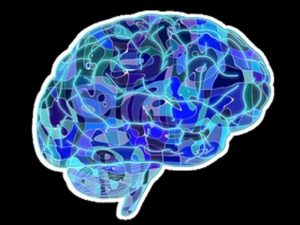 EMG – EEG Nedir?