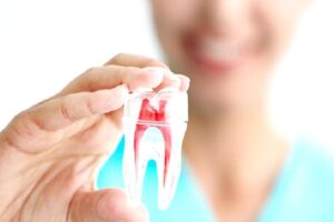 Endodonti Nedir?
