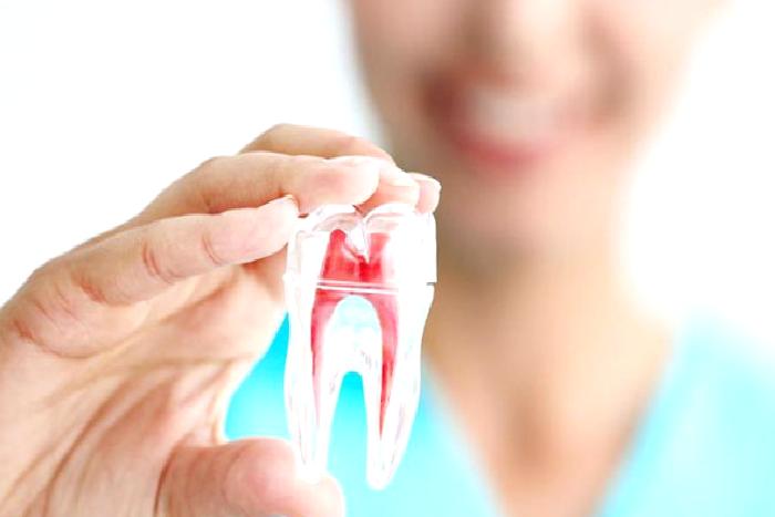 Endodonti Nedir?