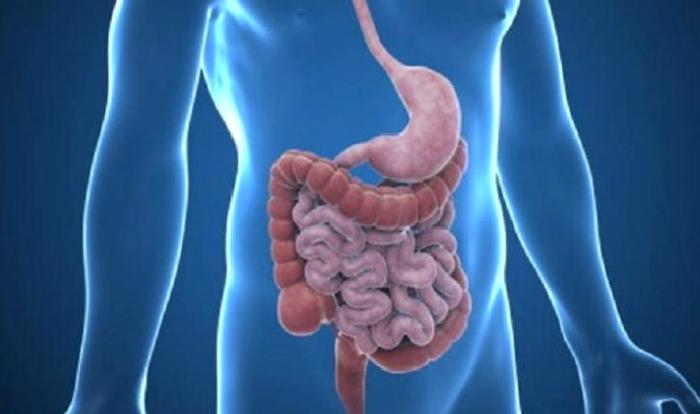 ERCP Nedir?