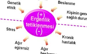 ERGENLİK DÖNEMİNDE NELER OLUYOR?