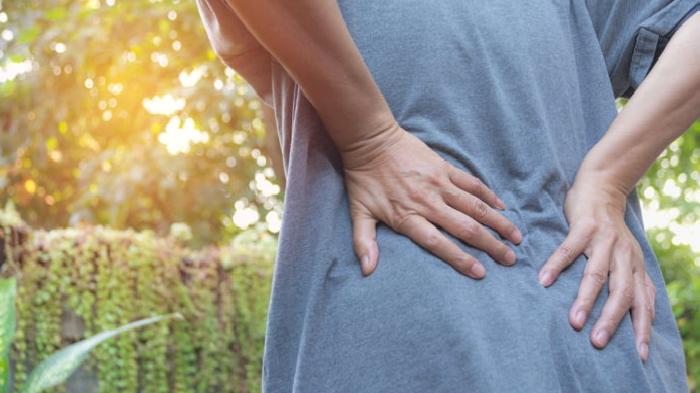 Felç Hakkında Bilinmeyenler