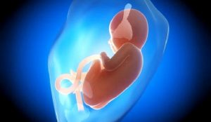 Fetal Üriner Hastalıklar (Anne Karnındaki Böbrek, İdrar Kanalı ve Mesane Hastalıkları)