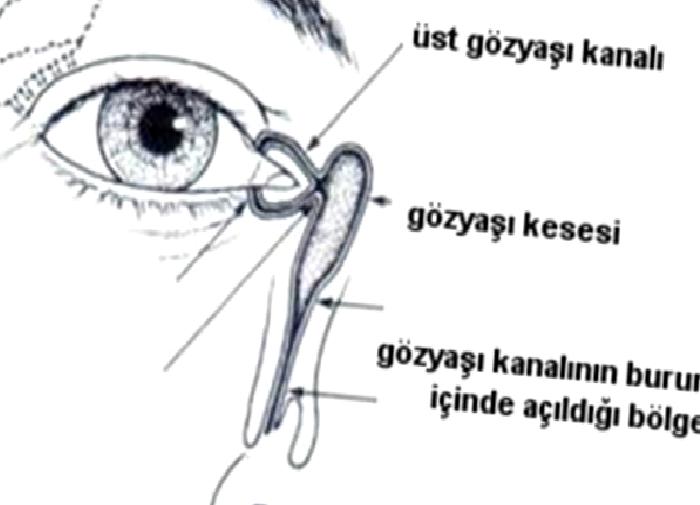 Gözyaşı Kanalı Tıkanıklığı Belirtileri NELERDİR?