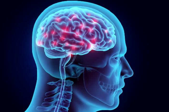 Grade 4 Tümör İçin Beyin Biyopsisi Nedir ve Robotik Cerrahi Nasıl Yapılır?