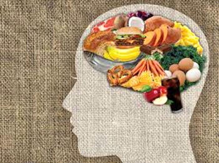 Hafıza ve Odaklanma İçin Gerekli Vitaminler
