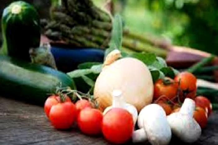 Hastalıkların Nedeni Sağlıksız Bağırsaklar Olabilir!