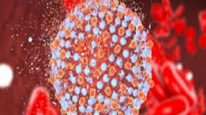 Hepatit C