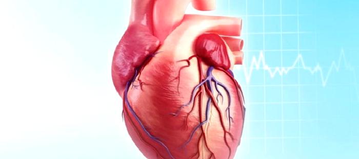 İÇİMİZDEKİ GİZLİ TEHLİKE ;  Aort Anevrizmaları