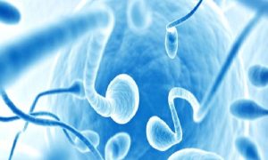 İnfertilite (kısırlık)