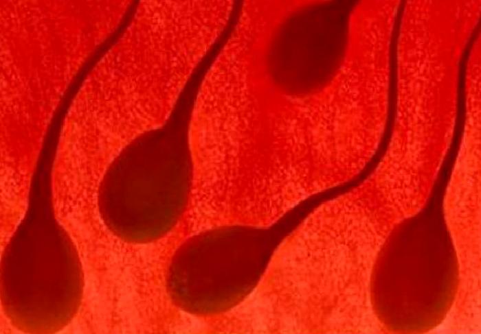 İnfertilite (Kısırlık)