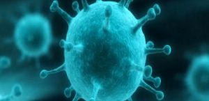 İshallerin en önemlisi Rotavirus ishali