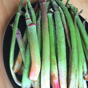 IŞKIN (RHEUM RİBES L.)