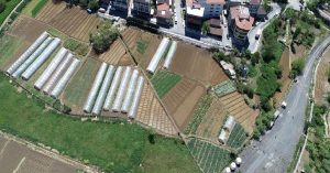 İstanbul’daki tarım alanlarının yüzde 37’si kentleşme tehdidi altında