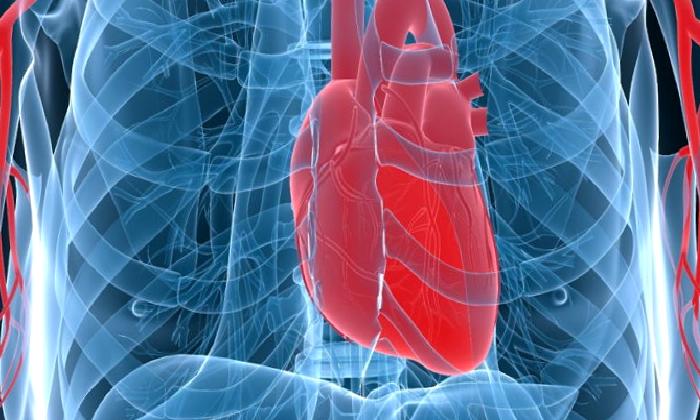 Kalp Damarlarındaki Daralma