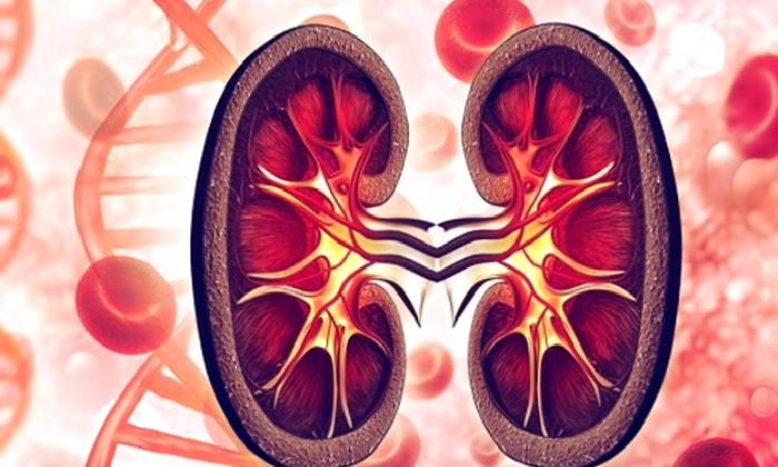 Karaciğer Kanseri: Bilmeniz Gerekenler