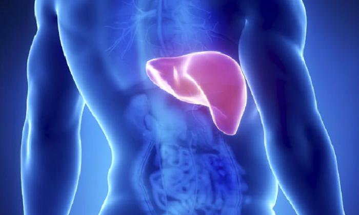 KARACİĞERİN HEPATİT İLE SAVAŞI