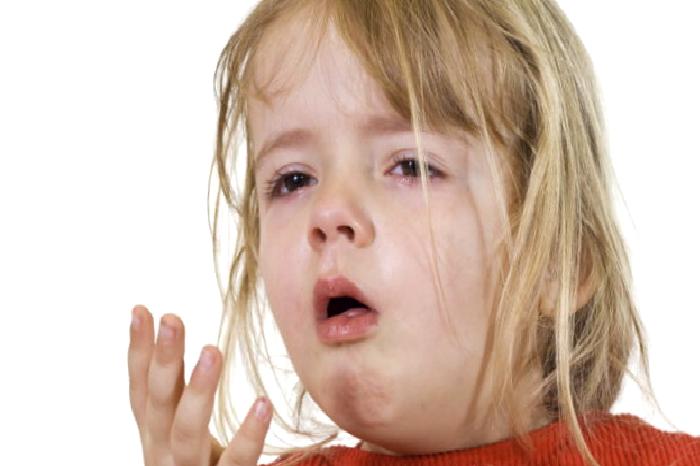 Kedi Alerjim Mi Var?