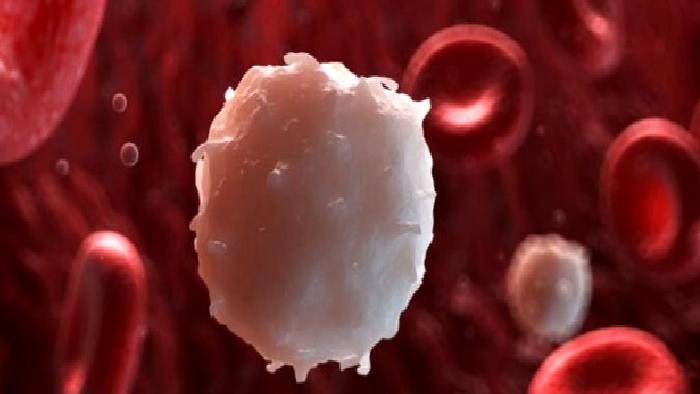 Kemik İliği Nakli Hakkında Merak Edilenler…