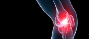 Kıkırdak Dokusu ve Beslenme